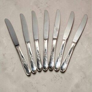 Vintage H&T MFG Co Meadow Flower Silverplate Dinner Knives Set 7 1940s Floral